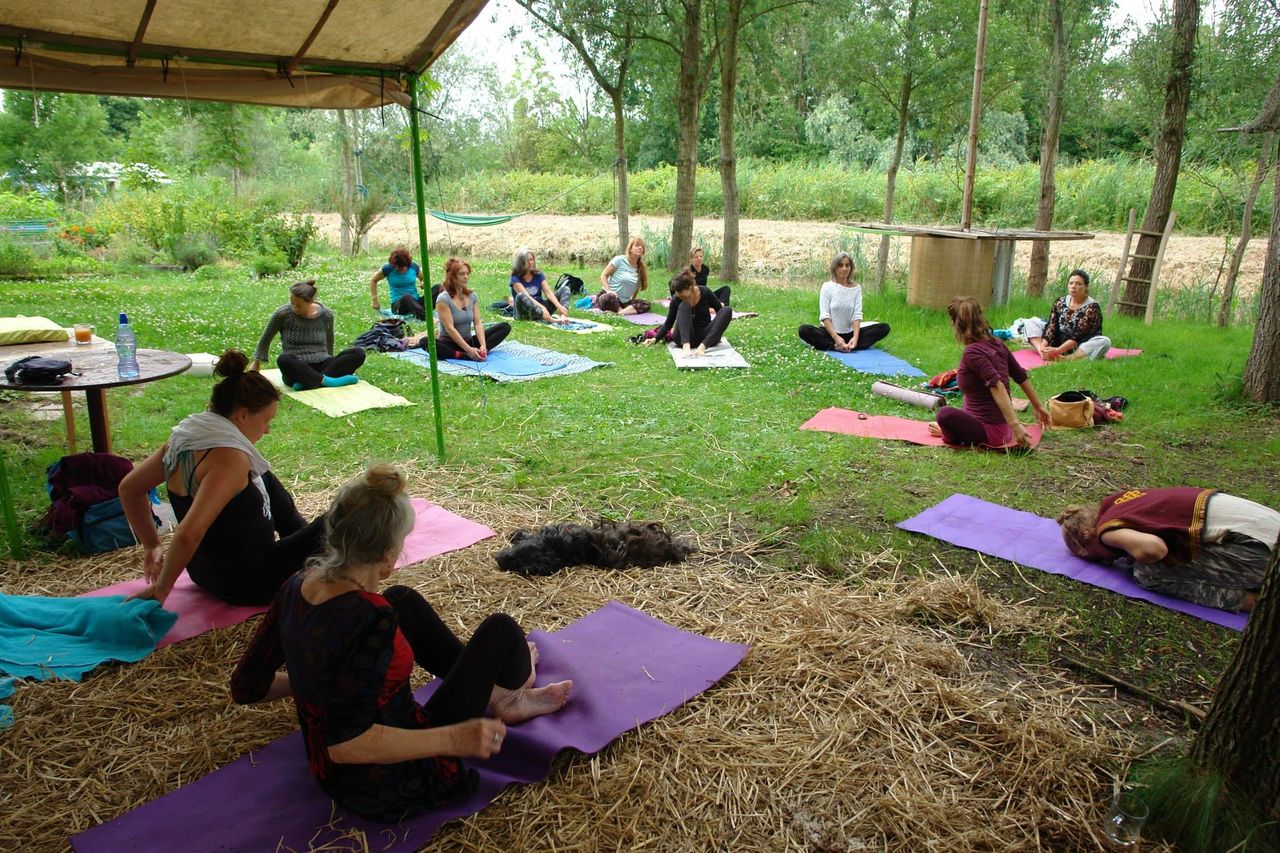 Yoga in the garden